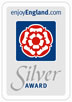 Silver Award